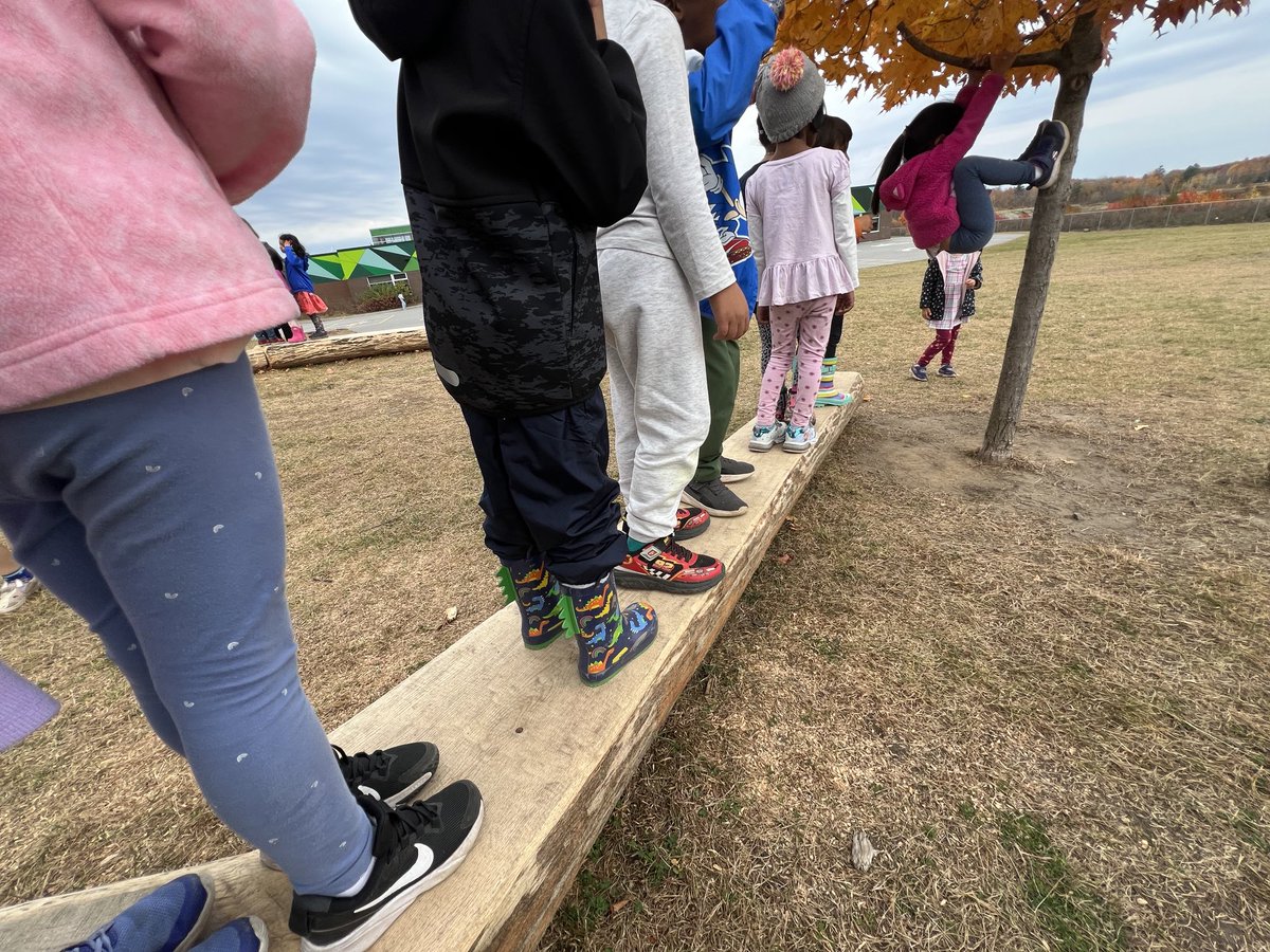 The Birches / Les Bouleaux 🤍 tweet media