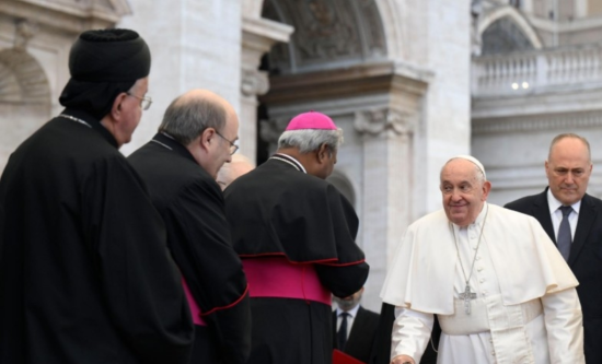 Papa Francesc: "Allà on entra l’Esperit Sant, la capacitat de donar-se reneix" dlvr.it/TFgS9Z