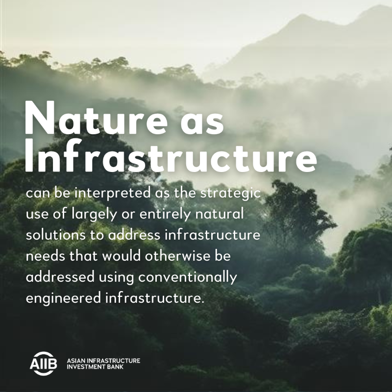 AIIB_Official's tweet photo. 🌎#COP16 | The dual crises of climate change and #biodiversity loss are inextricably linked. 

To solve either, both must be addressed together.

As @COP16Oficial gets underway in 🇨🇴Cali, we're putting the spotlight on the role of MDBs in financing “nature as infrastructure.”⤵️