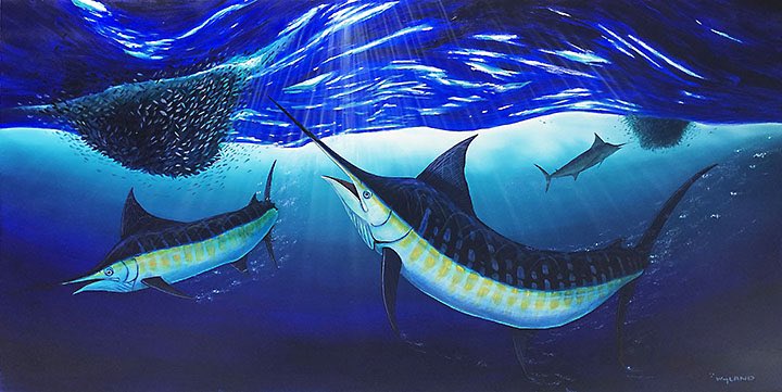 Pupul (@pupulmimi) on Twitter photo Art today. Three Blue Marlins charge two bait balls for what promises to be a feeding frenzy. Acrylic painting by acclaimed marine artist Wyland <a href="/bm0406/">Brian Mulholland</a> <a href="/adityampaul/">Aditya Paul</a> <a href="/Derick_Cape/">Derick</a> Art today. Three Blue Marlins charge two bait balls for what promises to be a feeding frenzy. Acrylic painting by acclaimed marine artist Wyland <a href="/bm0406/">Brian Mulholland</a> <a href="/adityampaul/">Aditya Paul</a> <a href="/Derick_Cape/">Derick</a>