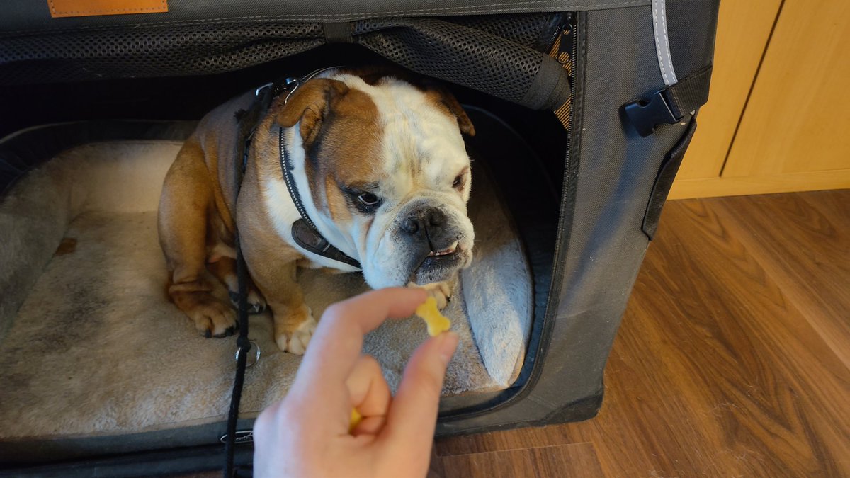 Ob sie es wohl irgendwann noch lernt? 🙄