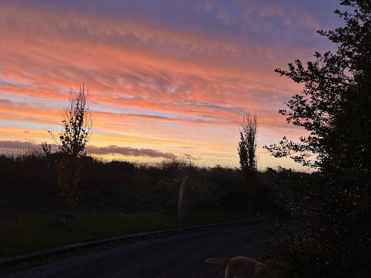 MAYOMADnotblog1's tweet photo. Beautiful sunrise this morning… 🌅 #octobermorning #sunrise #ireland https://t.co/FHcy9GYL3z