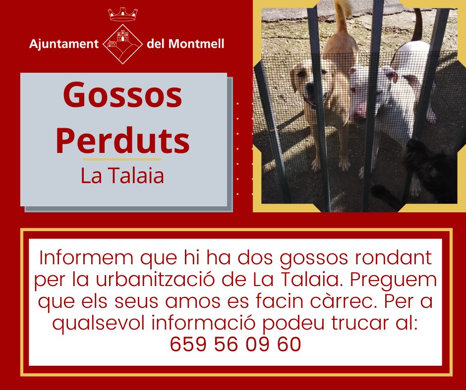 Ajuntament del Montmell (@elmontmell) on Twitter photo 