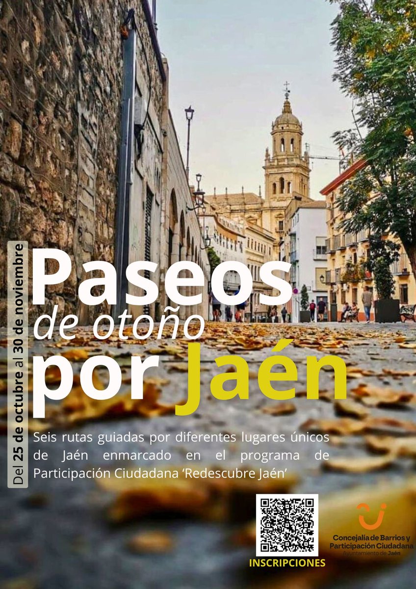 VLEO Jaén (@vleojaen) on Twitter photo 