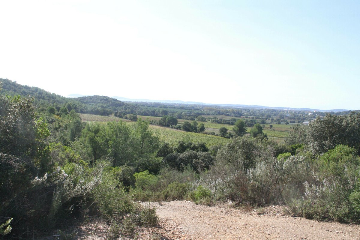 Un futur entre vignes et oliviers: cette vaste propriété au cœur d’un projet d’œnotourisme à Hyères
➡️ l.varmatin.com/c9N