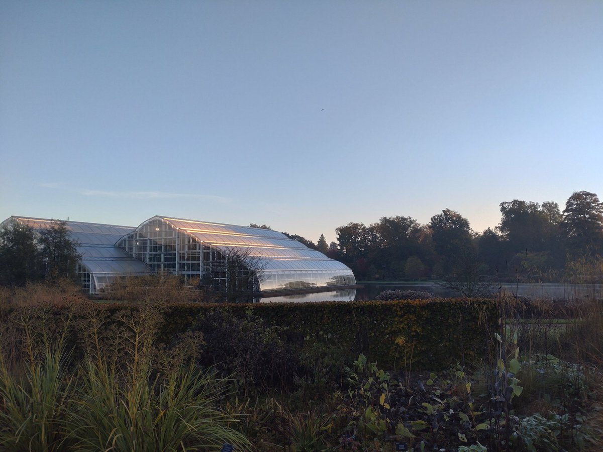 Andy Salisbury (@andrewsalisbur2) on Twitter photo Good morning from <a href="/RHSWisley/">RHS Garden Wisley</a> Good morning from <a href="/RHSWisley/">RHS Garden Wisley</a>