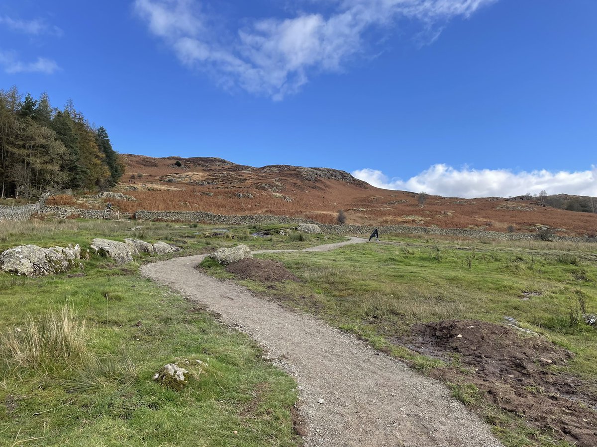 Some pictures of the new paths I put in. Working with the #National Trust. At the bottom of Gowbarrow. North Lakes. <a href="/LakesRangers/">Lakes Rangers</a> #LakeDistrict