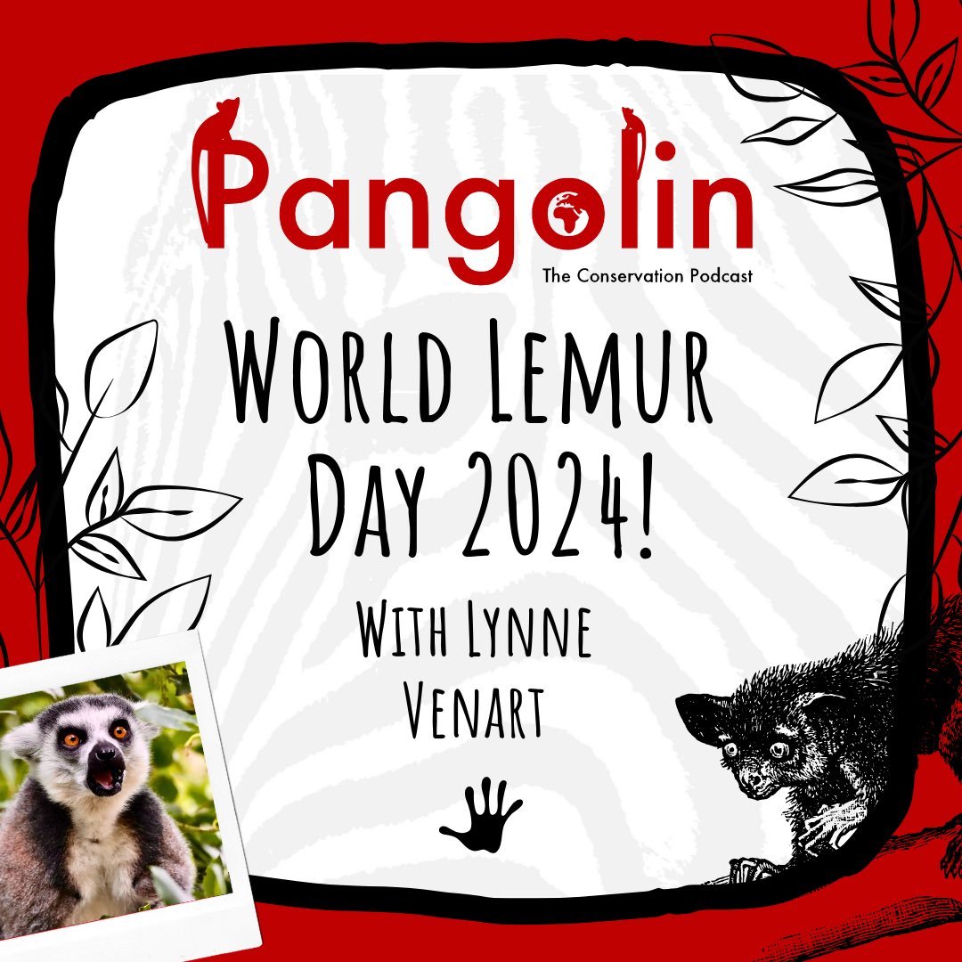 Pangolin: The Conservation Podcast ๐ฆ๐ฆ๐ฆ๐ (@pangolinpodcast) on Twitter photo Tomorrow is #WorldLemurDay! To celebrate, I am joined by Lynne Venart (Director of the <a href="/LemurNetwork/">Lemur Conservation Network</a>) to discuss all of the latest updates in Lemur conservation! ๐ฒ๐ฌ
Spotify: open.spotify.com/episode/7txxeWโฆ
Apple Podcasts: podcasts.apple.com/gb/podcast/panโฆ
Everywhere else: linktr.ee/pangolinpodcast Tomorrow is #WorldLemurDay! To celebrate, I am joined by Lynne Venart (Director of the <a href="/LemurNetwork/">Lemur Conservation Network</a>) to discuss all of the latest updates in Lemur conservation! ๐ฒ๐ฌ
Spotify: open.spotify.com/episode/7txxeWโฆ
Apple Podcasts: podcasts.apple.com/gb/podcast/panโฆ
Everywhere else: linktr.ee/pangolinpodcast
