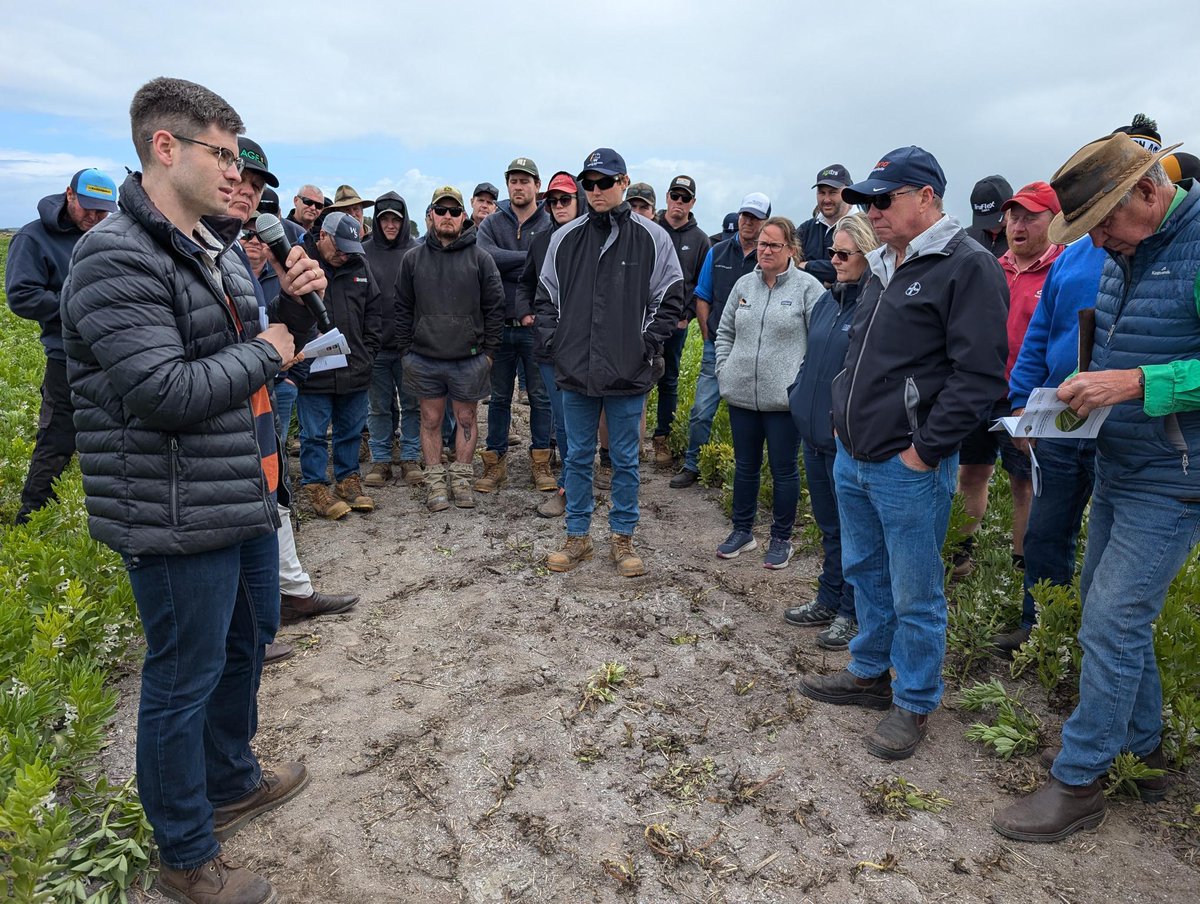 FAR Australia tweet media