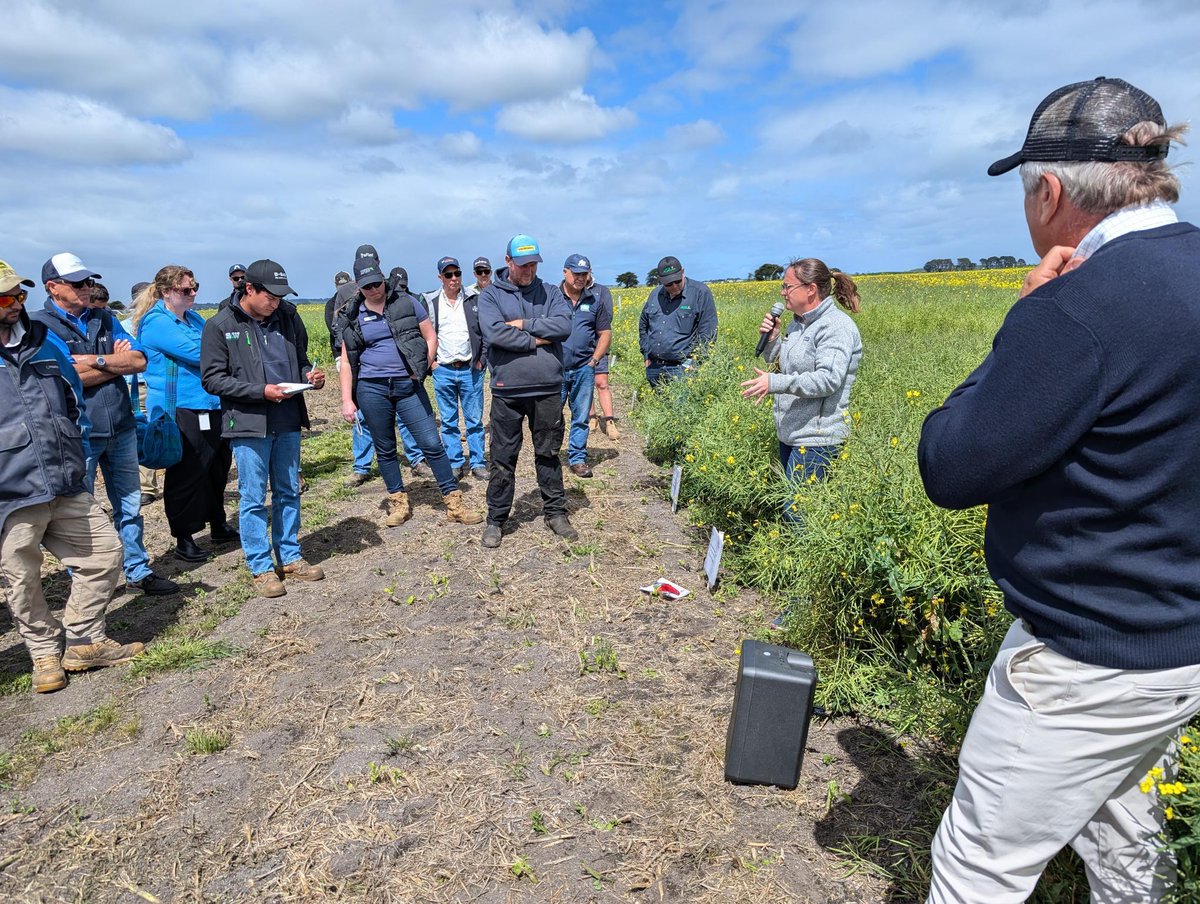 FAR Australia tweet media