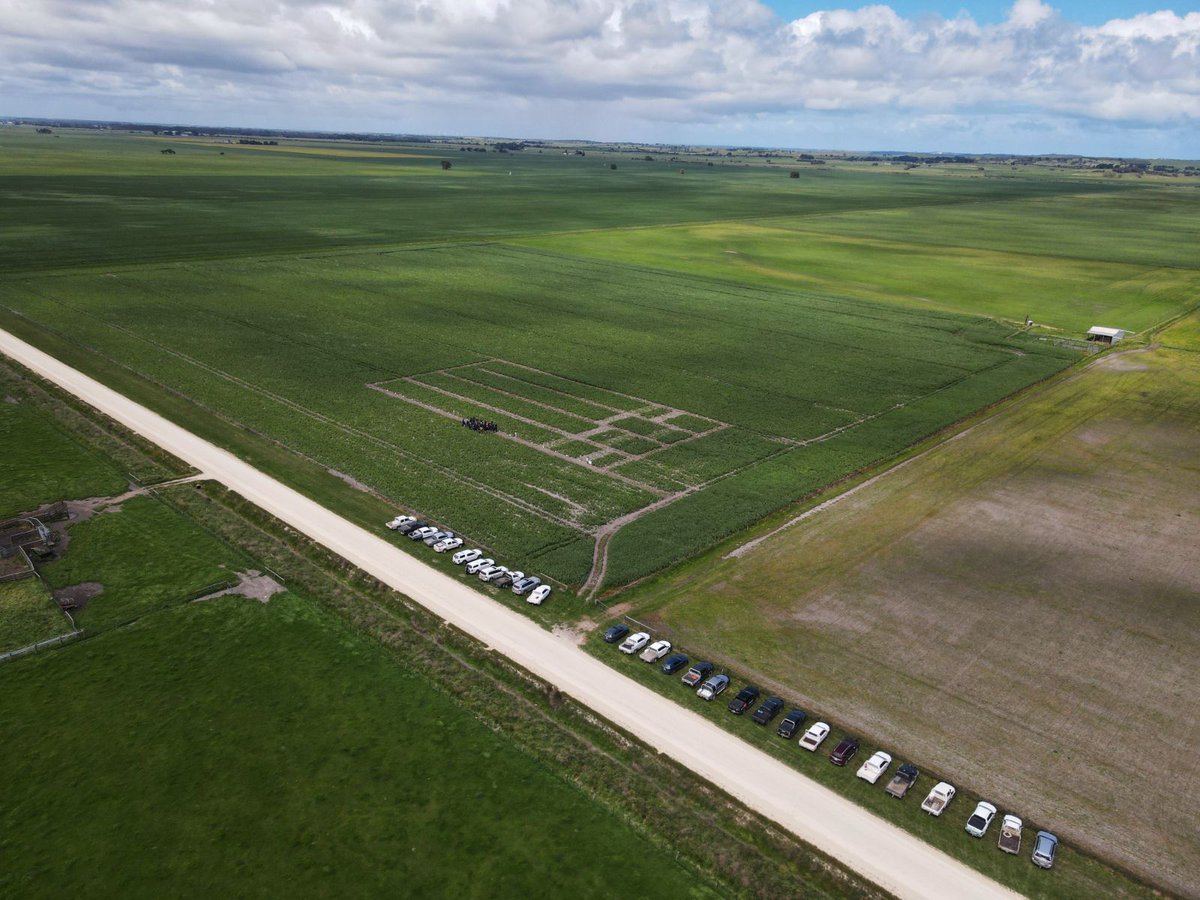 FAR Australia tweet media