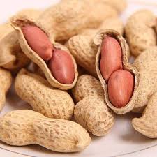 Zehra__Noor's tweet photo. Mungfali (मूंगफली)

Mungfali, also known as peanut, is a legume that is widely cultivated and consumed in various forms.

Nutritional Benefits:

1. High protein content (25%)
2. Rich in healthy fats (monounsaturated and polyunsaturated)
3. Good source of fiber, vitamins, and minerals (E, B3, magnesium)
4. Antioxidant properties

Culinary Uses:

1. Snacking (roasted, boiled, or fried)
2. Cooking (curries, sauces, stir-fries)
3. Baking (cakes, cookies, bread)
4. Sauces and dips (peanut butter, satay sauce)
5. Traditional Indian dishes (sag aloo, gajar ka halwa)

Health Benefits:

1. Heart health (lowers cholesterol, blood pressure)
2. Weight management (satiety, metabolism)
3. Brain health (cognitive function, memory)
4. May reduce risk of certain cancers

Types:

1. Virginia peanuts
2. Spanish peanuts
3. Runner peanuts
4. Tennessee red peanuts

Indian Names:

1. Hindi: मूंगफली (Mungfali)
2. Gujarati: શિંગદાણા (Shingdana)
3. Marathi: शेंगदाणे (Shengdane)
4. Tamil: வேர்கடலை (Verkadalai)

Interesting Facts:

1. Peanuts are not nuts, but legumes.
2. India is the second-largest peanut producer globally.
3. Peanuts are used in traditional medicine for various ailments.