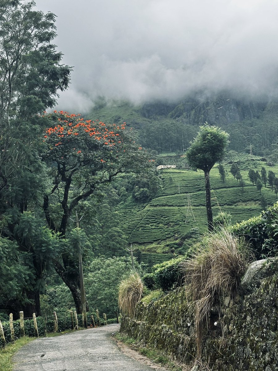 meghnapegu's tweet photo. Kerala. India. https://t.co/qiW4Gormon