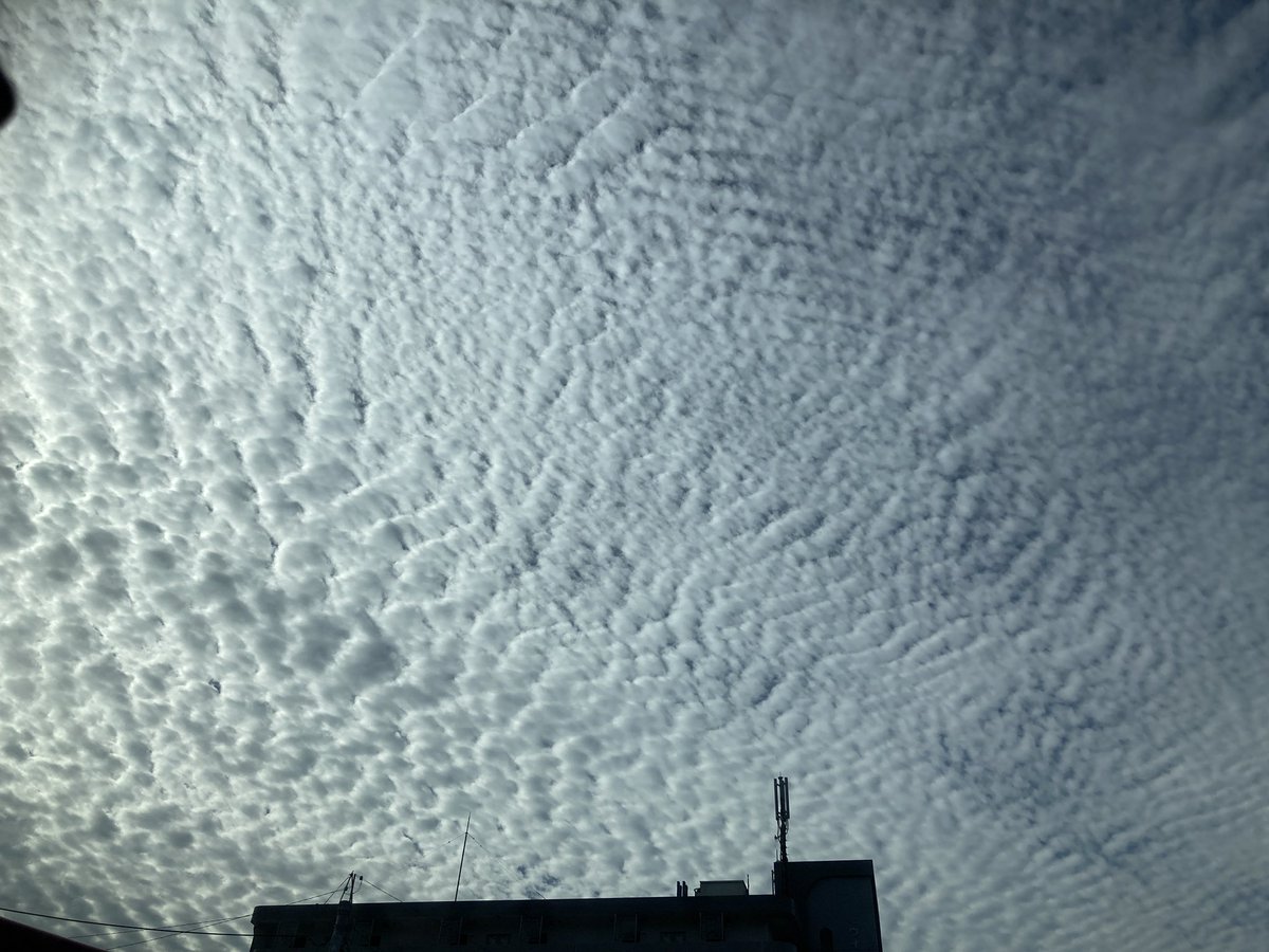 今日の福岡の空☁️
秋やなぁ〜🍁