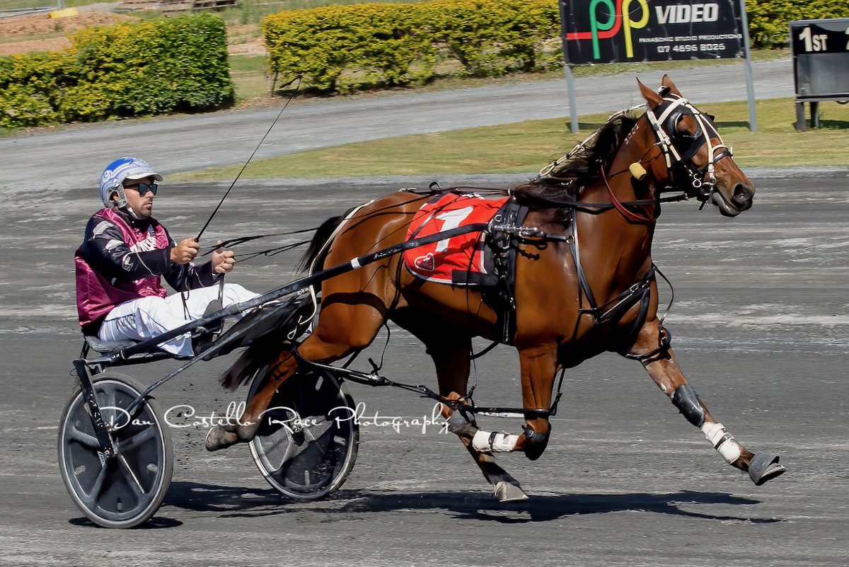 Dan Costello (@danracingwrap) on Twitter photo Oldgold gets the chocolates in the first for the day <a href="/redcliffe_hrc/">Redcliffe Harness Racing Club</a> with Adam Sanderson for trainer <a href="/RileyButt6/">Riley Butt</a> <a href="/TRButtRacing/">Tim & Riley Butt Racing</a> picking up a $14,000 QBred bonus for connections Oldgold gets the chocolates in the first for the day <a href="/redcliffe_hrc/">Redcliffe Harness Racing Club</a> with Adam Sanderson for trainer <a href="/RileyButt6/">Riley Butt</a> <a href="/TRButtRacing/">Tim & Riley Butt Racing</a> picking up a $14,000 QBred bonus for connections