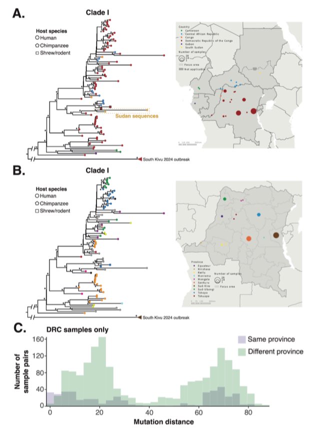 Excited this paper is out in <a href="/Nature/">nature</a> on the global genomic surveillance of #monkeypox virus. 

Honored to have the opportunity to work on this and huge thanks to everyone for their efforts

Our analysis reveals 
- high mobility of clade I viruses within Central Africa
- sustained