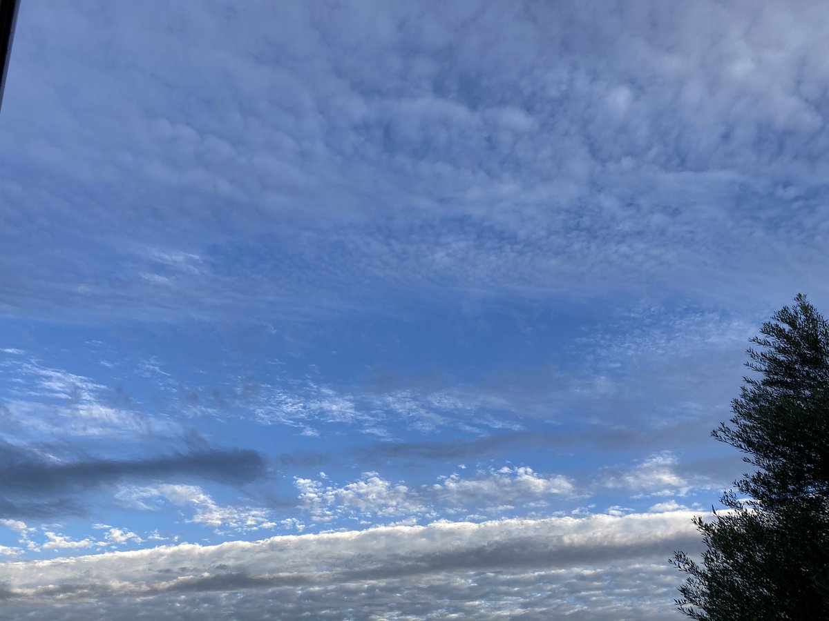 今朝の早朝の美しい空模様
もう午後だけど
いきなり秋になりましたね～