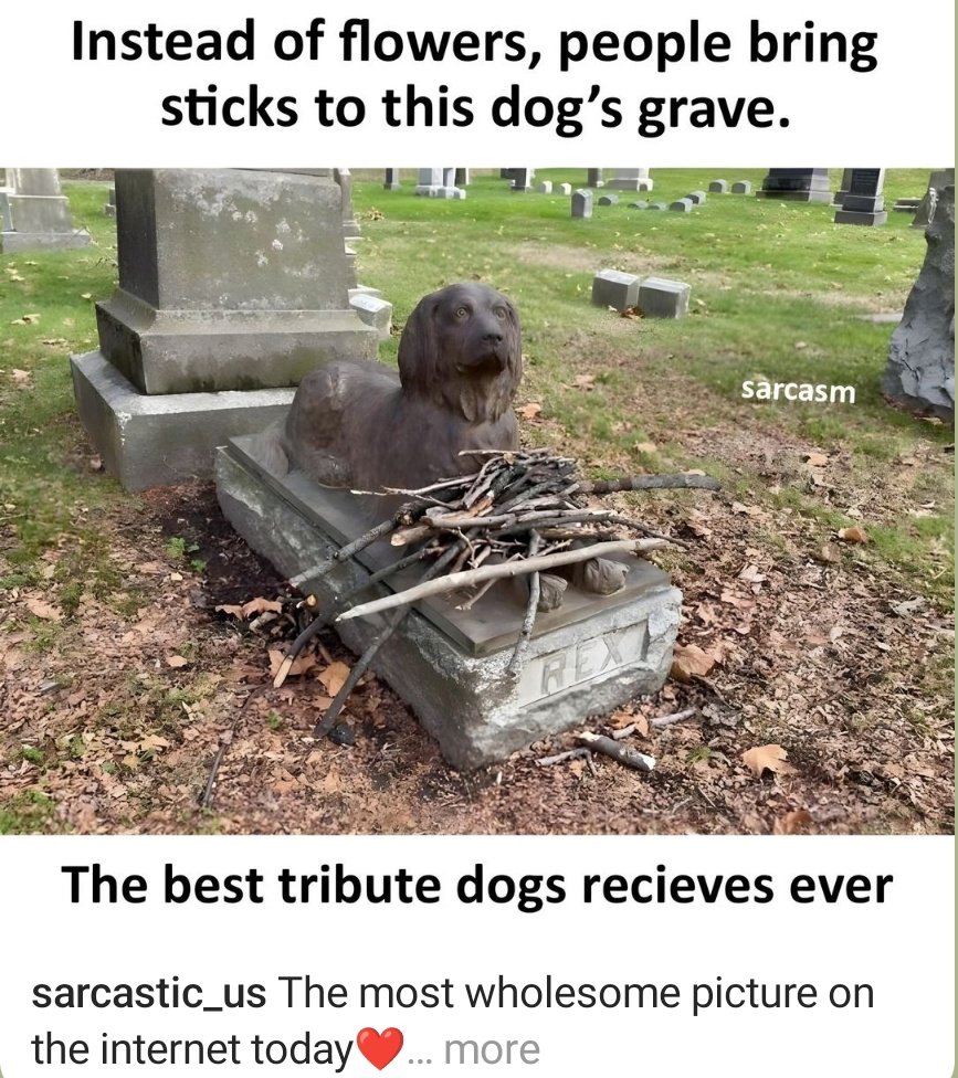 Vengadesh_07's tweet image. 📚#sharing🗺️✨#EarthUpdates🛰️📰
#Wonderfulpic #Photoaday 🧠 
#MindfulMovement 🎥🗞️🌌