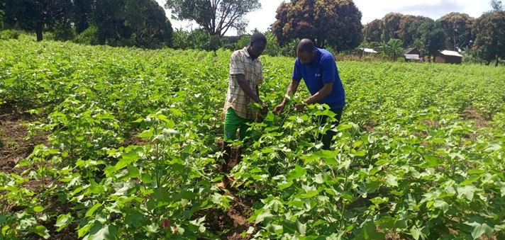 $BSE is pleased to contribute to the establishment and growth of PAVI Cooperative, which began in 2016 and has since expanded to over 3000 small-scale farmers.

From launching maize and animal feed mills, PAVI is now nearing completion of a cotton ginnery.