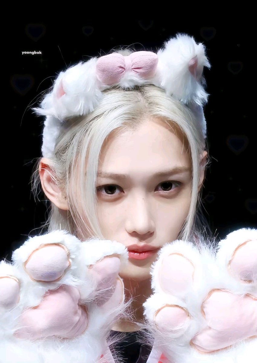 Febok15's tweet photo. 너무 귀여워ㅠ진짜 고양이야ㅠ https://t.co/2Rf2tasMgt