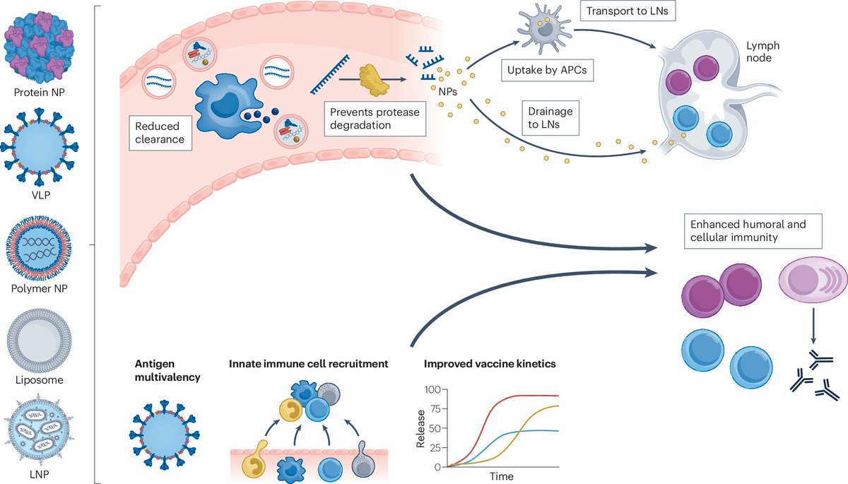 Truly exceptional review article by Dan Anderson, Bob Langer et al. "Advanced technologies for the development of infectious disease vaccines" in <a href="/NatRevDrugDisc/">Nature Reviews Drug Discovery</a>  (2024). doi.org/10.1038/s41573…