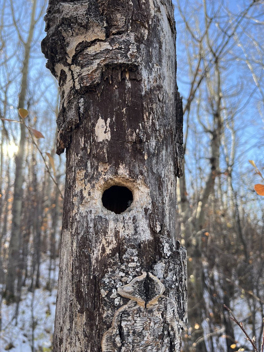 Mrs.Olson tweet media