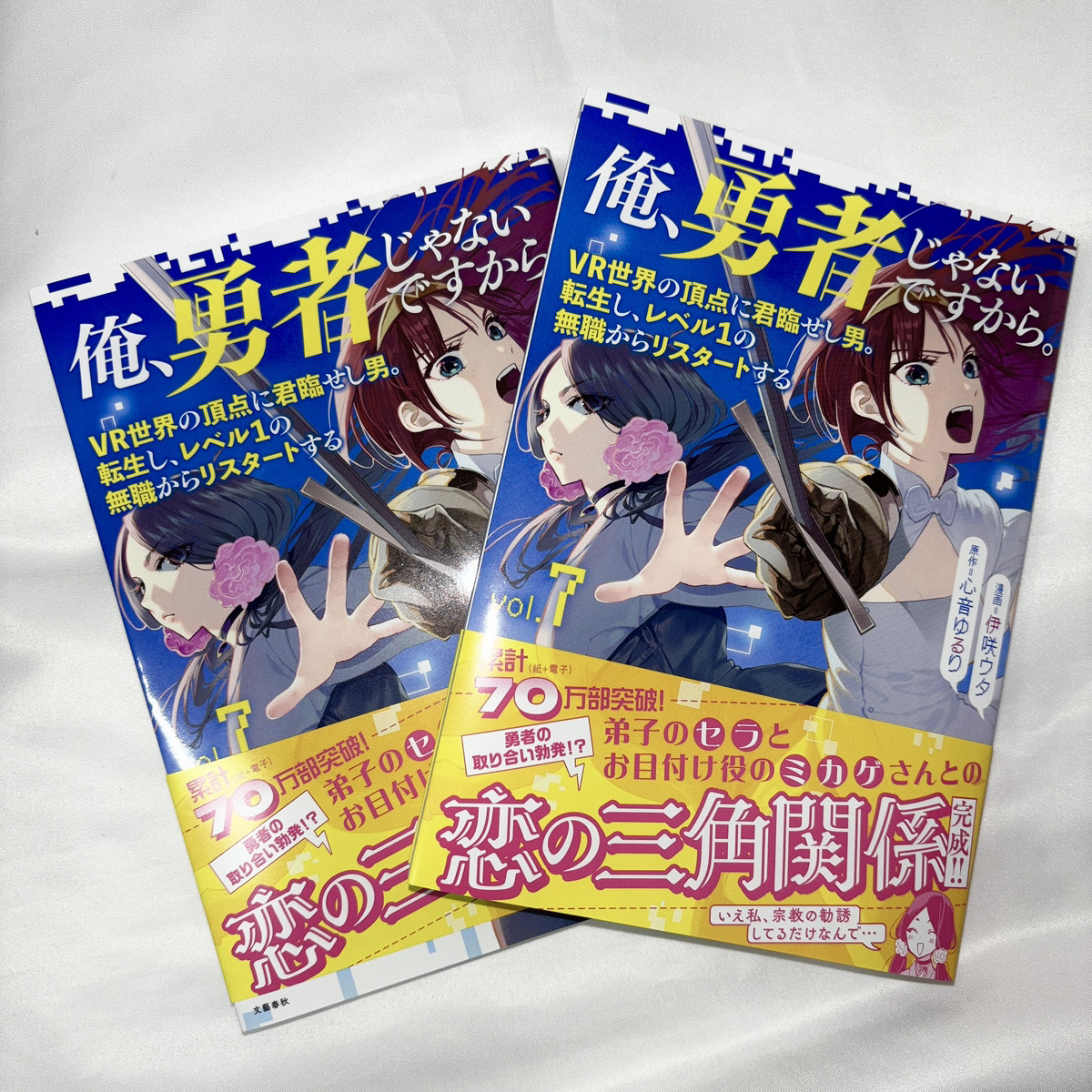 俺、勇者じゃないですから。～VR世界の頂点に君臨せし男。転生し