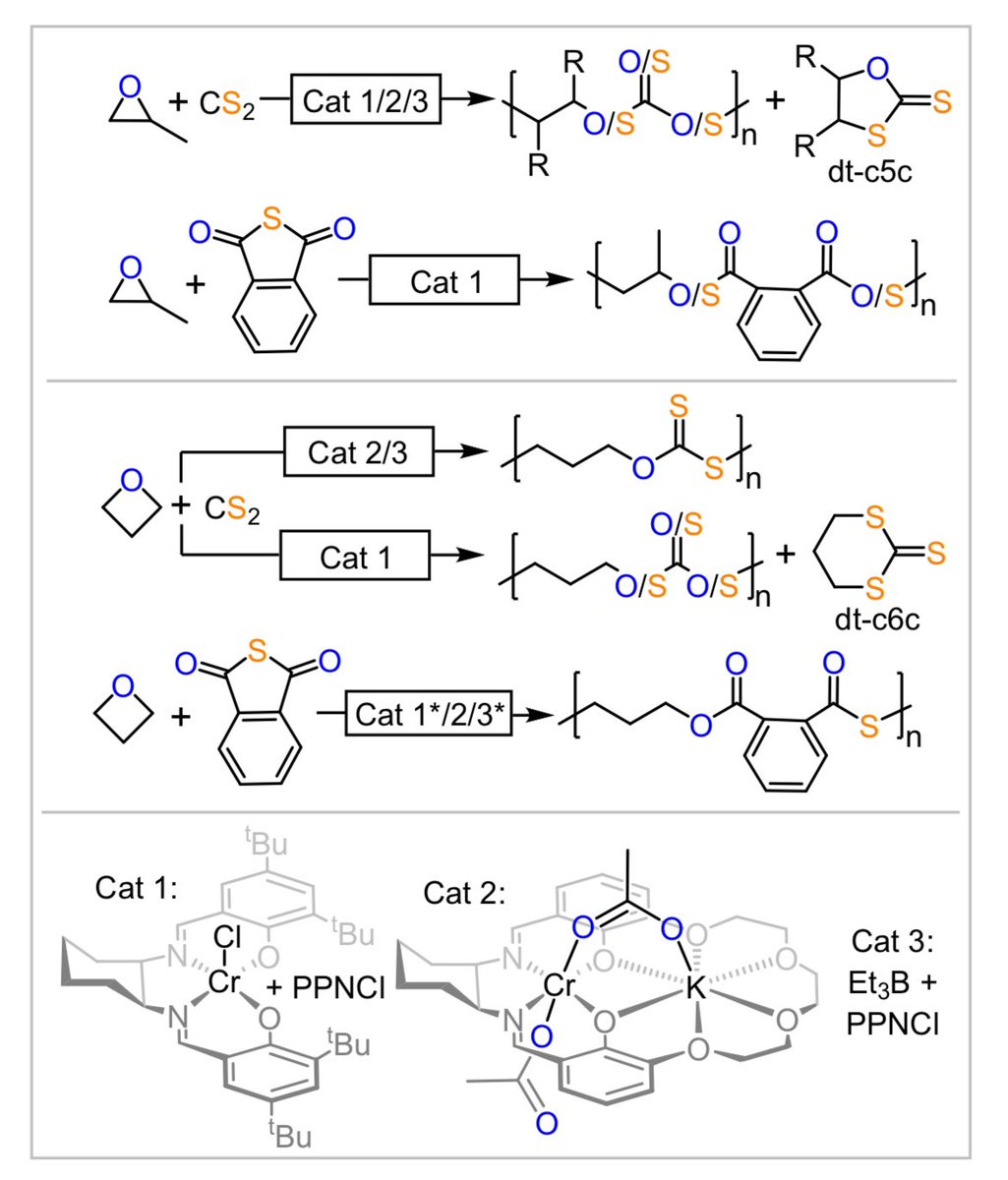 Plajer Group (@ajplajer) on Twitter photo Our latest work on sulfurated ring-opening copolymerisations is now online in <a href="/ChemicalScience/">Chemical Science</a> 🥳🥳🥳🤩🤩🤩
Congratulations to all involved!!!
Give it a read here: pubs.rsc.org/en/content/art… Our latest work on sulfurated ring-opening copolymerisations is now online in <a href="/ChemicalScience/">Chemical Science</a> 🥳🥳🥳🤩🤩🤩
Congratulations to all involved!!!
Give it a read here: pubs.rsc.org/en/content/art…