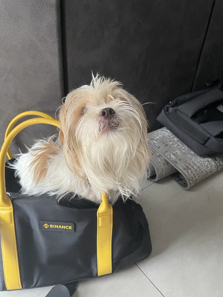 BinanceAfrica's tweet photo. Gm gm

Time to secure the (Binance) bag https://t.co/SQDRZ6rFFe