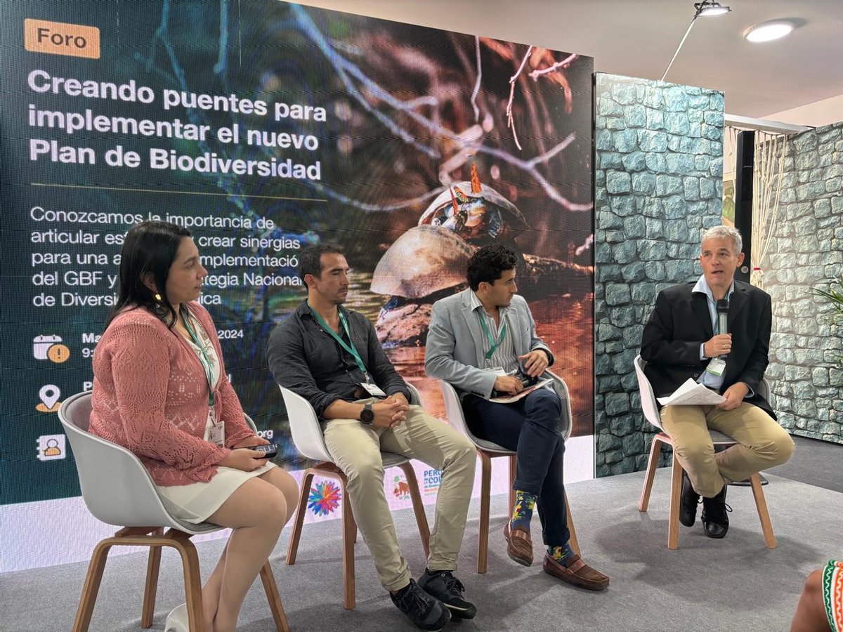 University of Sussex Business School (@sussexubusiness) on Twitter photo .<a href="/MatiasRamirez50/">Matias Ramirez</a> discussed transformative innovationās impact on deforestation together with Peruās Environment Minister at <a href="/COP16Oficial/">COP16 COLOMBIA šØš“</a>.
Learn more here: bit.ly/3YpiJZg
#Biodiversity #COP16 .<a href="/MatiasRamirez50/">Matias Ramirez</a> discussed transformative innovationās impact on deforestation together with Peruās Environment Minister at <a href="/COP16Oficial/">COP16 COLOMBIA šØš“</a>.
Learn more here: bit.ly/3YpiJZg
#Biodiversity #COP16