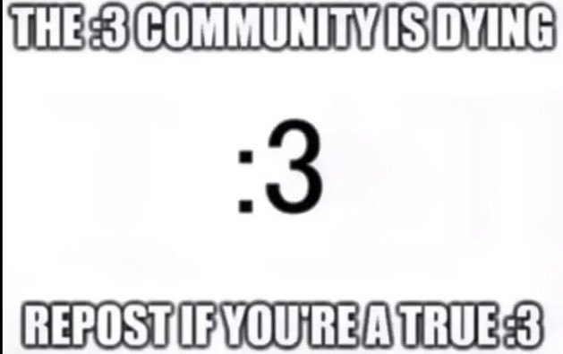 ! Sleepy tweet media