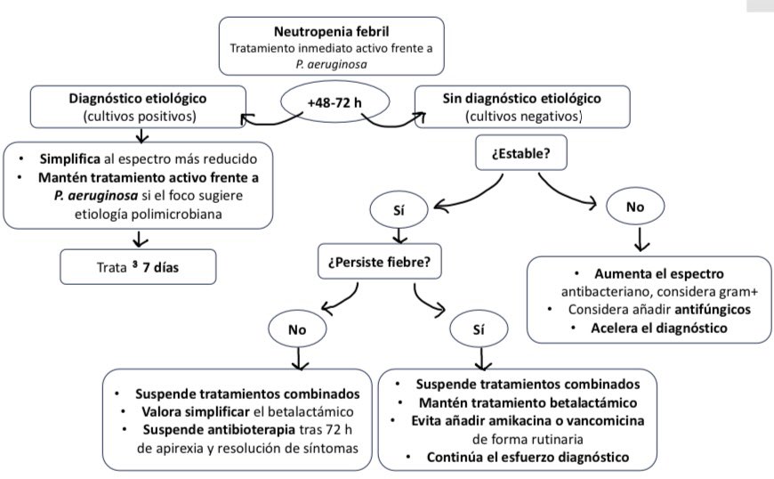 ¿Podemos simplificar el tratamiento antibiótico en un paciente con neutropenia febril?
¿Y si no tenemos aislamientos?
¿O si mi paciente sigue con fiebre?

#SiSePuede (y se debe) 😉

Nuestro algoritmo de simplificación en neutropenia febril 👇🏻
