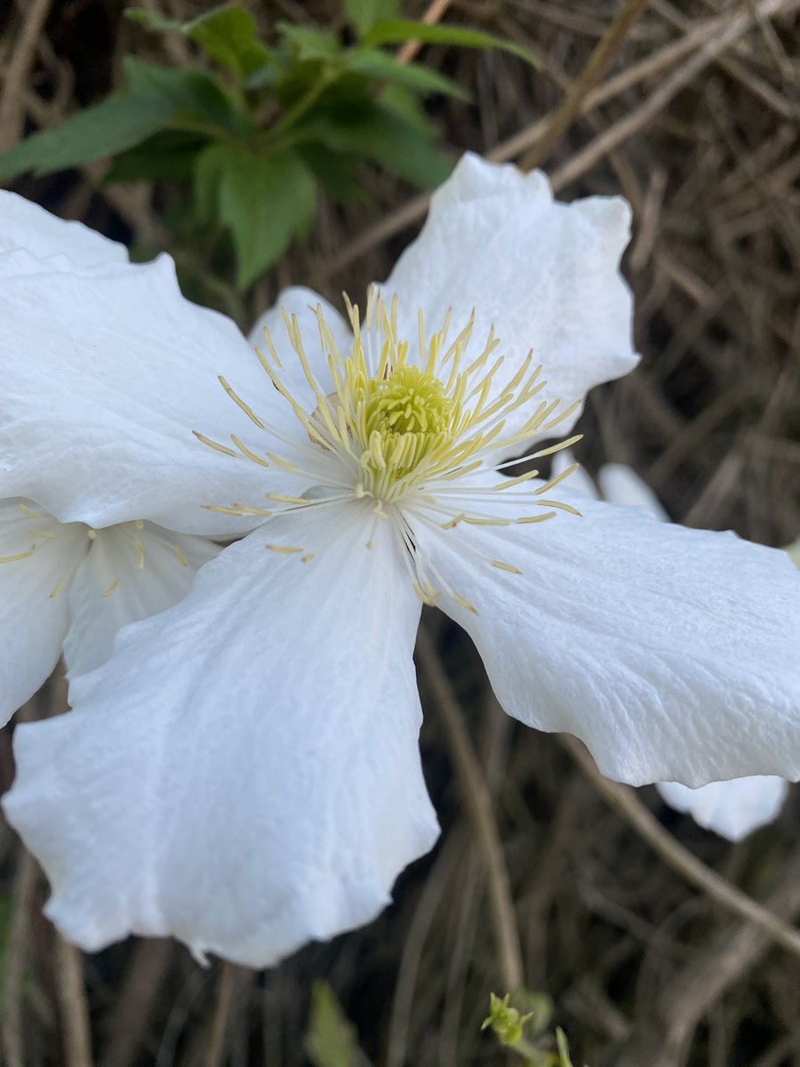 Timeline cleanse. Happy long weekend everyone (HB gets tomorrow off too)