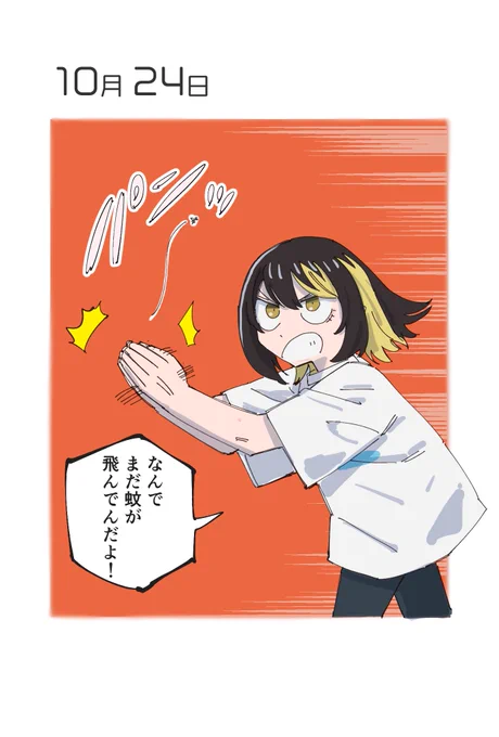 10月24日 