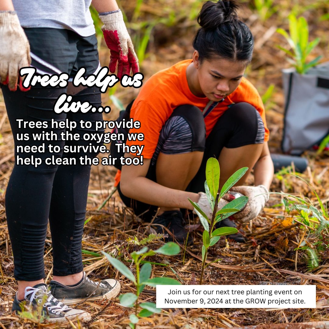 Trees offer shade, beauty, and countless benefits for our communities. Let's plant trees and reap the rewards for generations to come. 

#PlantTrees #GreenLiving