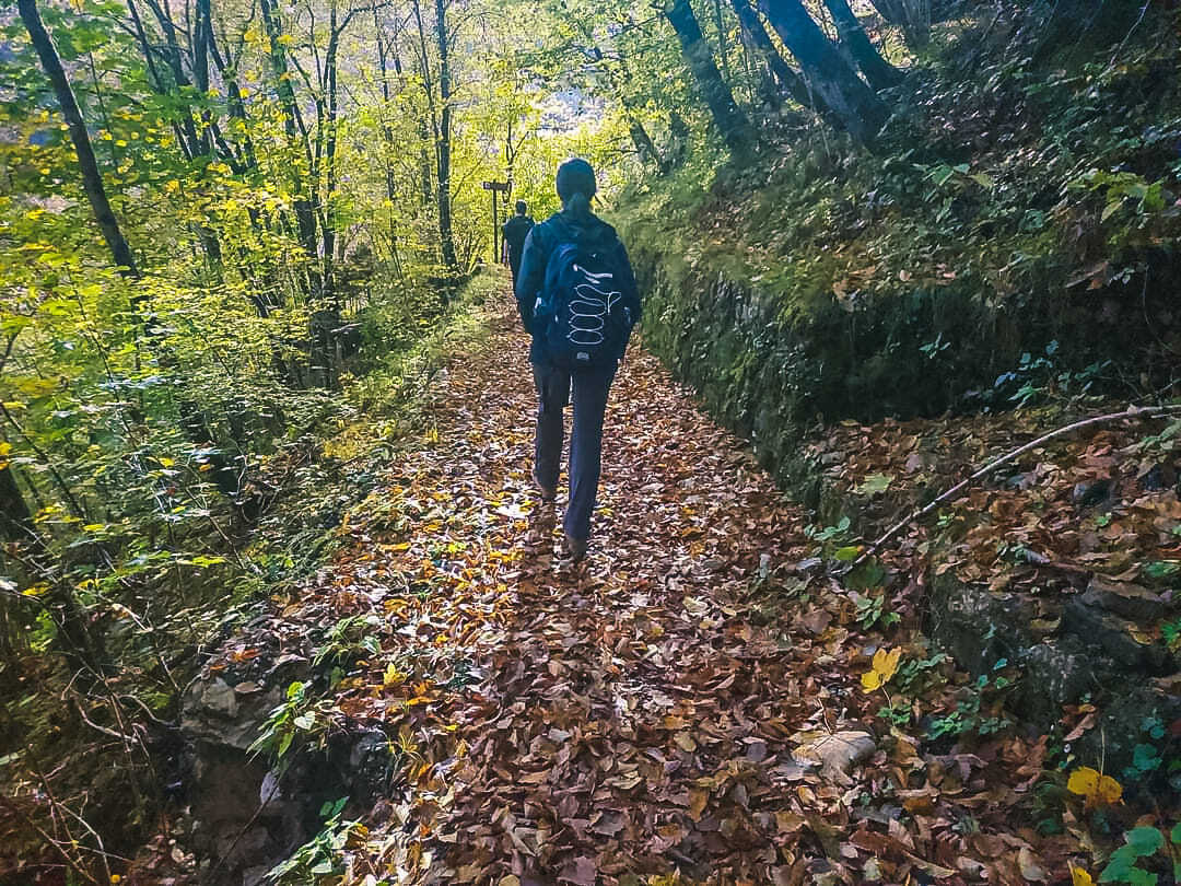 parcoDF's tweet photo. Una facile escursione per fare un tuffo nel passato e visitare uno dei numerosi borghi abbandonati della Val Tramontina che faremo il 10 novembre.

Prenotazione obbligatoria al seguente link:
https://t.co/aZZAWvPQcl

Ph. @ Lisetta Totis

#parchinaturali #escursioni https://t.co/ypNv6Vnh9z
