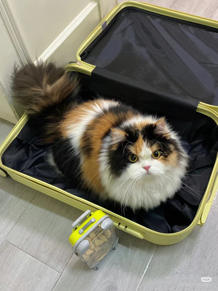 "Bring only the important things"