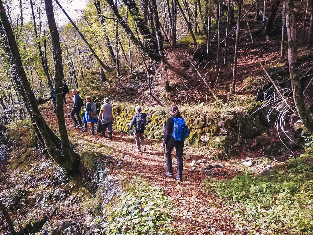 parcoDF's tweet photo. Una facile escursione per fare un tuffo nel passato e visitare uno dei numerosi borghi abbandonati della Val Tramontina che faremo il 10 novembre.

Prenotazione obbligatoria al seguente link:
https://t.co/aZZAWvPQcl

Ph. @ Lisetta Totis

#parchinaturali #escursioni https://t.co/ypNv6Vnh9z