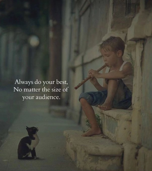 Self-Care Canvas 🦋 tweet media