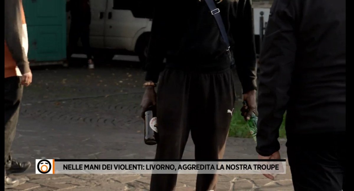 carmentpf's tweet photo. Per qualsiasi #predatore,invadere un territorio ricco di prede che non reagiscono è il paradiso.
I lupi attaccano la pecora,non l' orso.
Se sostituissimo le #FdO con il BOPE,o avessero lo stesso potere di quella Usa,il problema #babygang e aggressioni si risolverebbe in un mese. https://t.co/D6mCZjEiSK