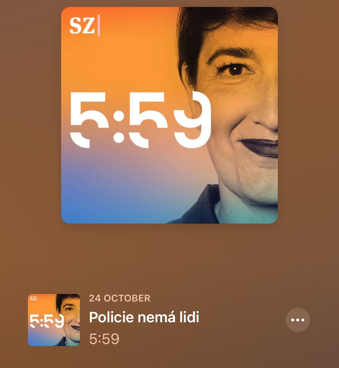 ČR má výrazně nadprűměrný počet policistů na počet obyvatel v EU: o 20 % víc než Německo, 2x víc než Dánsko.

Policisté mají platy jako učitelé a navíc doživotní výsluhy až polovinu platu.

<a href="/zaminutusest/">Podcast 5:59</a> vydává dnes podcast "Policie nemá lidi": důvodem jsou extrémně nízké platy😢