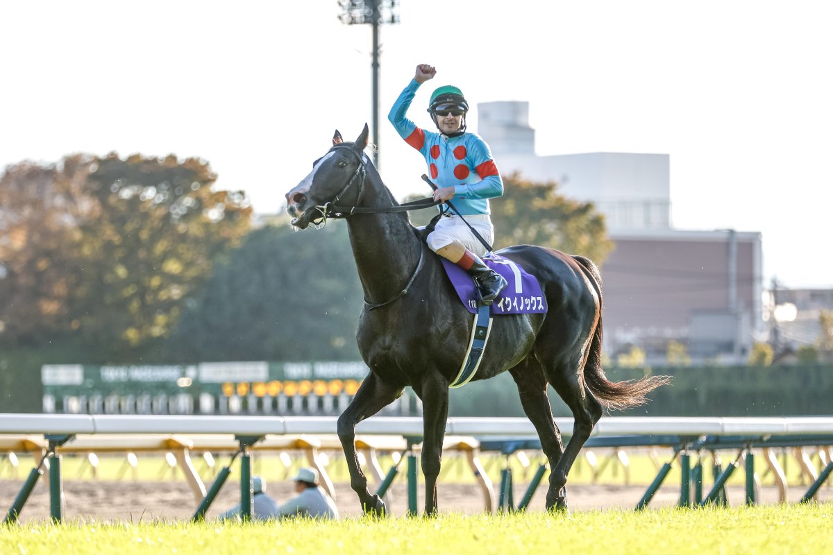 天皇賞秋】 2022🥇イクイノックス 2023🥇イクイノックス 今年の優勝馬