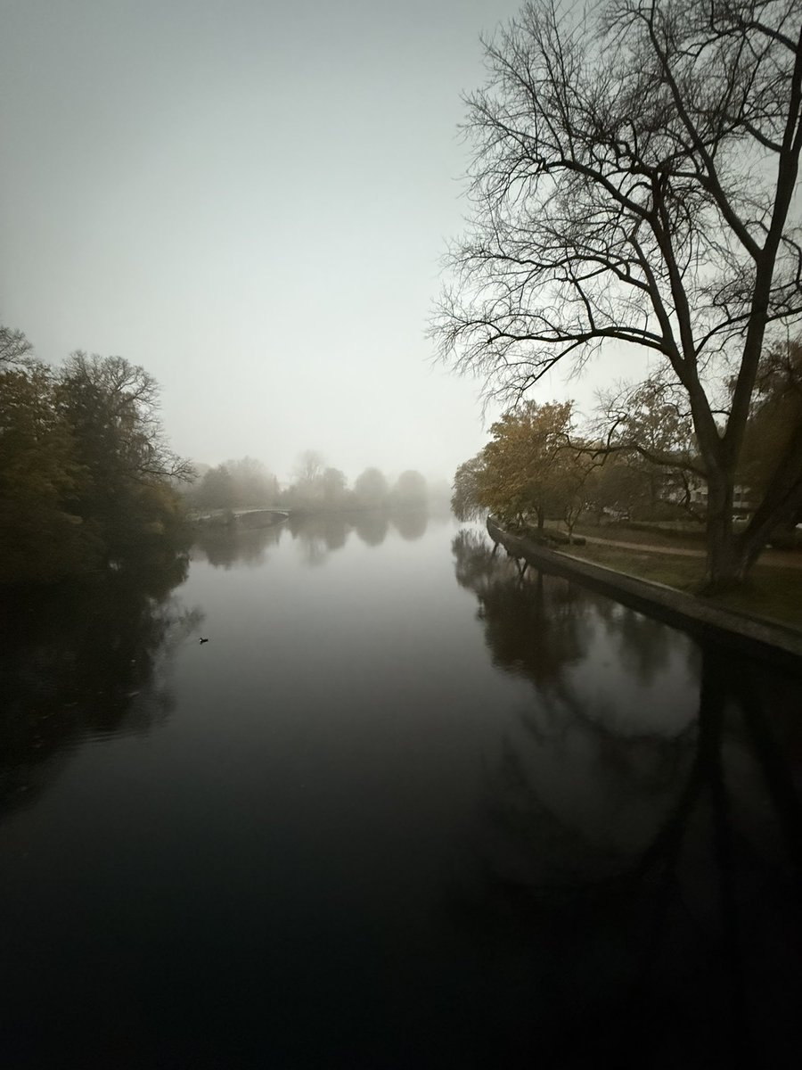 Moin