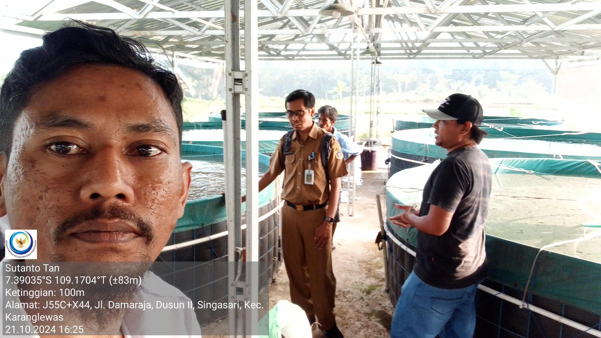 TantoPwt's tweet photo. Senin, 21-10/2024 Pendampingan kegiatan kunjungan staf DJPB di Pokdakan Sri Utama ds. Singasari kec. Karanglewas terkait pemanfaatan sarpras budidaya ikan lele bioflok
#LuhLapor
#GiatLuhkanSatminkalTegal
#BioflokLele https://t.co/UaSmBRj5xs