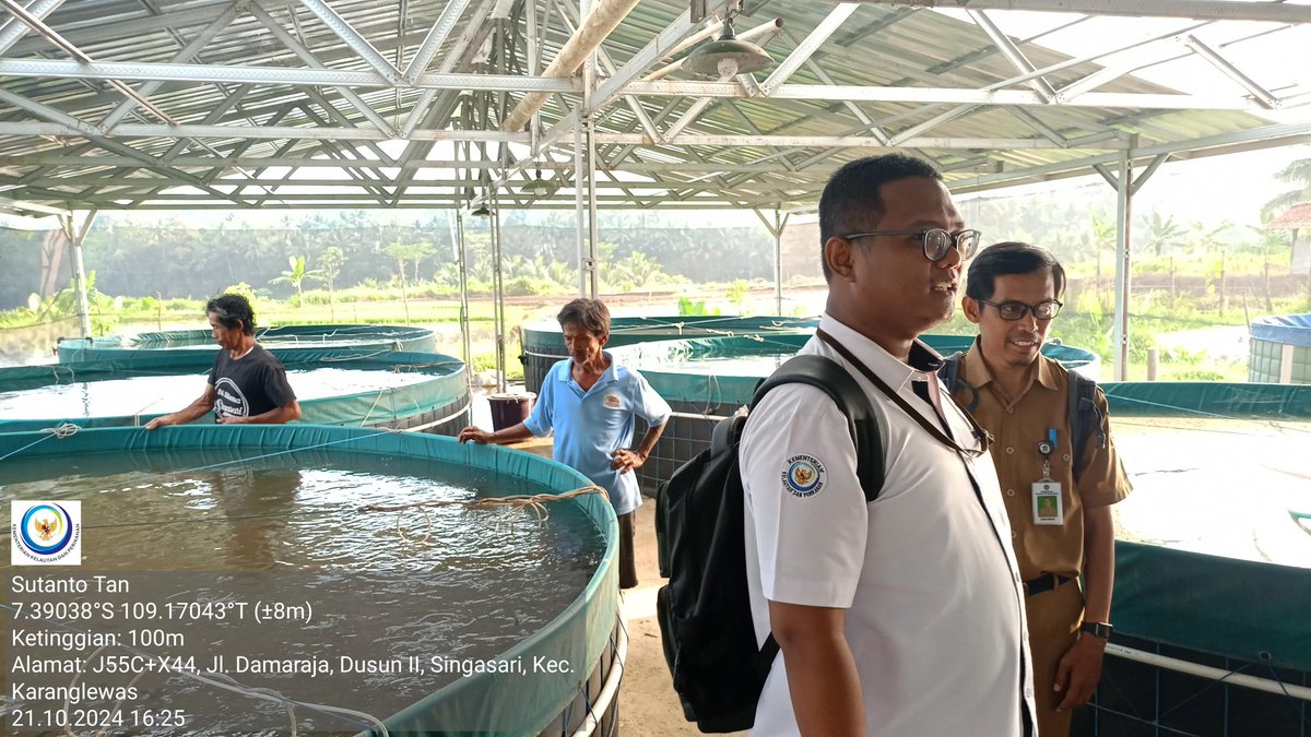 TantoPwt's tweet photo. Senin, 21-10/2024 Pendampingan kegiatan kunjungan staf DJPB di Pokdakan Sri Utama ds. Singasari kec. Karanglewas terkait pemanfaatan sarpras budidaya ikan lele bioflok
#LuhLapor
#GiatLuhkanSatminkalTegal
#BioflokLele https://t.co/UaSmBRj5xs