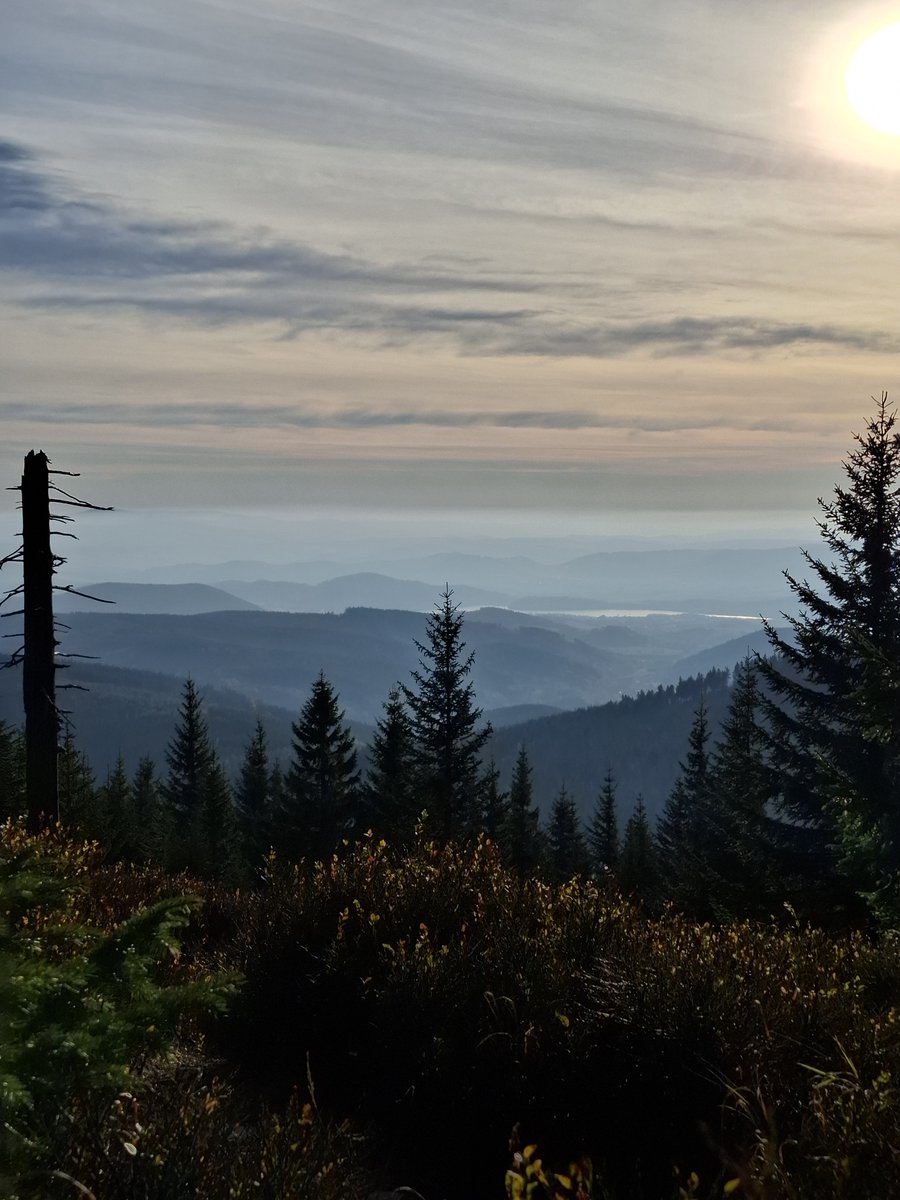 Karkonoski_PN's tweet photo. Na szlaku między Przełęczą Okraj a Skalnym Stołem. Fot. Amelia Skotnicka https://t.co/Fy7KyOYTLC