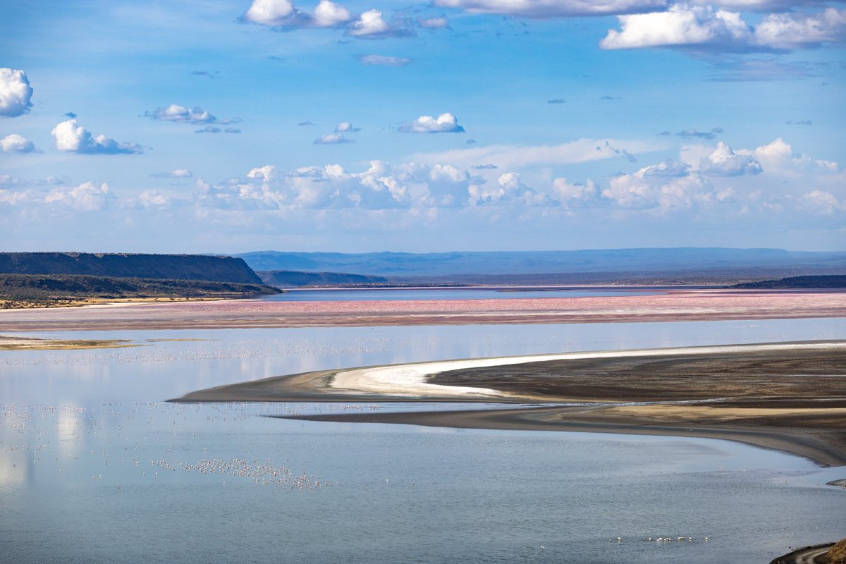 PumbaElite's tweet image. The gem that is Lake Bogoria in Kenya's Rift Valley. The lake's waters are twice as salty as normal seawater. The lake is  a favourite feeding ground for flamingoes. 

Contact us;
☎️ +254726519137 
📧 info@pumbaelitesafaris.com

#PumbaEliteSafaris
#RediscoverTheMagic