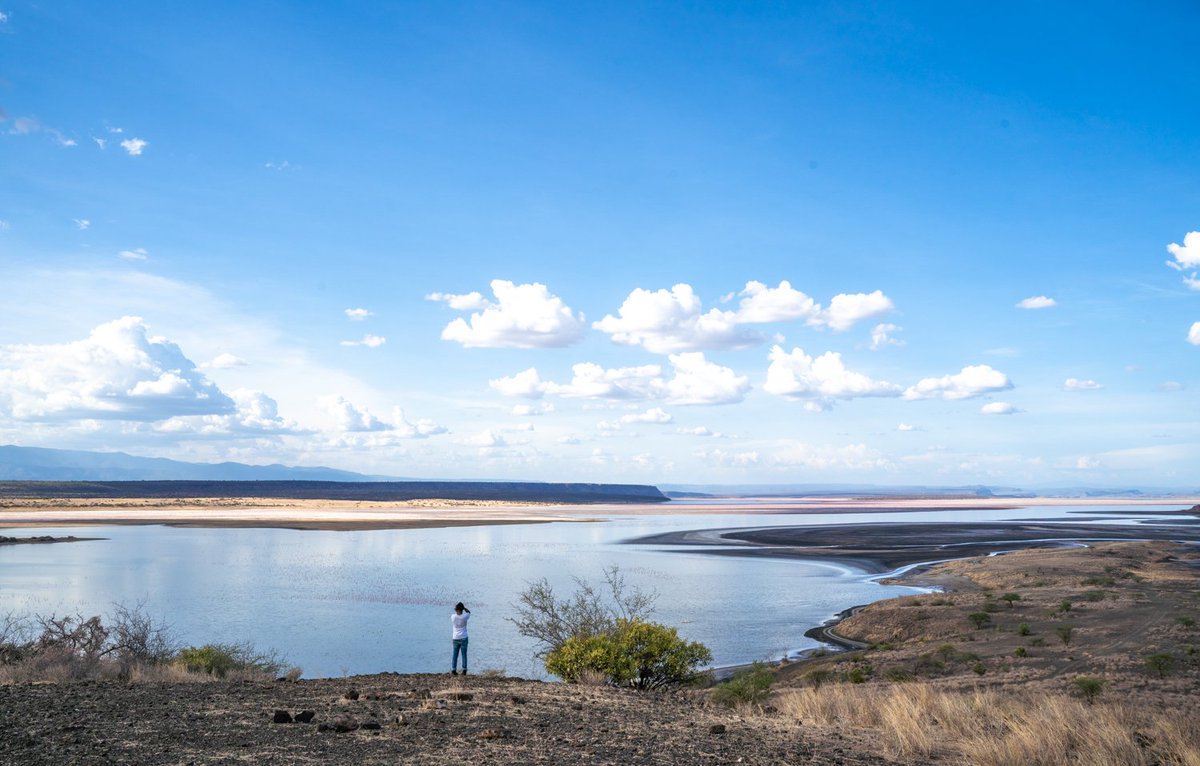 PumbaElite's tweet image. The gem that is Lake Bogoria in Kenya's Rift Valley. The lake's waters are twice as salty as normal seawater. The lake is  a favourite feeding ground for flamingoes. 

Contact us;
☎️ +254726519137 
📧 info@pumbaelitesafaris.com

#PumbaEliteSafaris
#RediscoverTheMagic