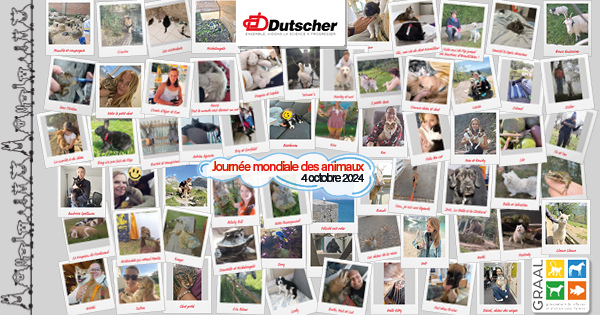 Dominique Dutscher tweet media