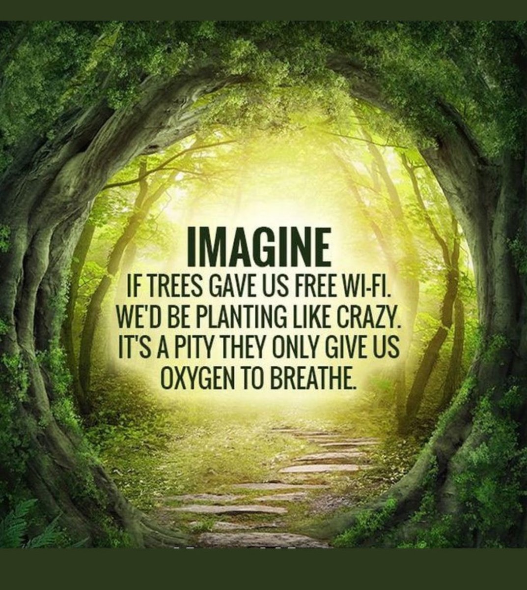 4KobusWiese's tweet photo. https://t.co/qkdmCPQSQA